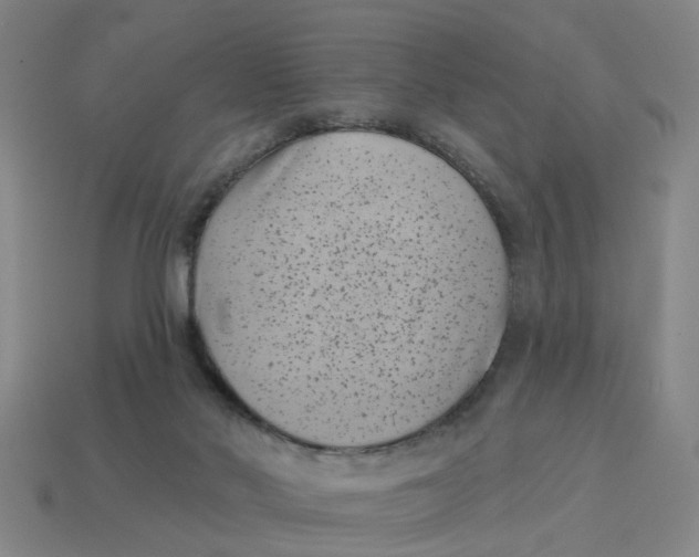 X0000114440022200911061713