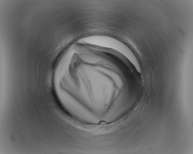 X0000114440023200911061713