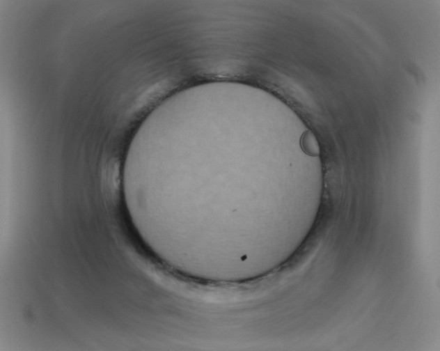 X0000114440024200911061713