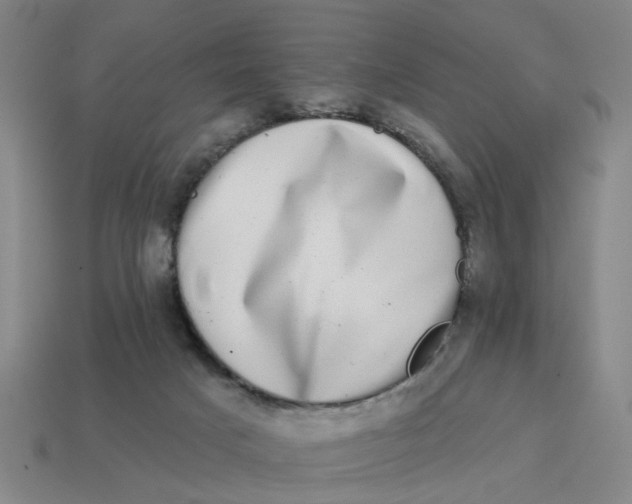 X0000114440025200911061713