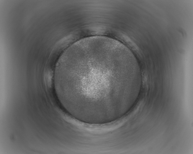 X0000114440026200911061713