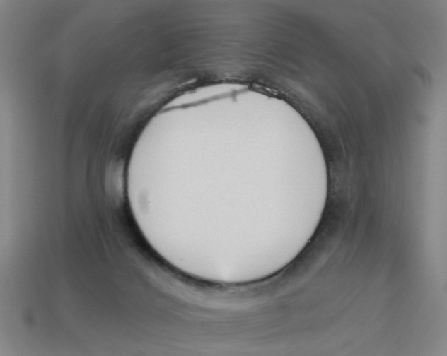 X0000114440028200911061713