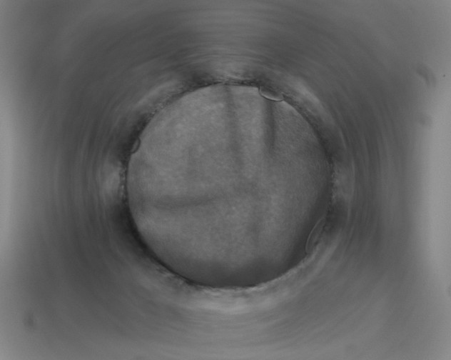 X0000114440029200911061713