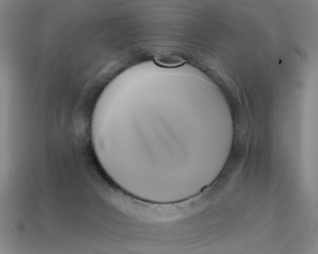 X0000114440031200911061713