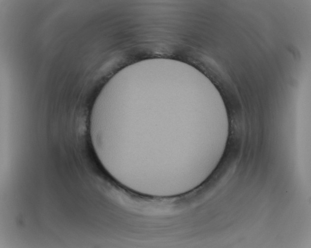 X0000114440032200911061713