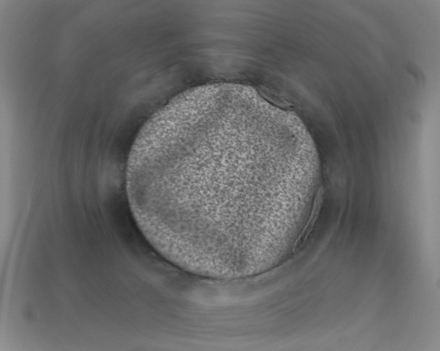 X0000114440033200911061713