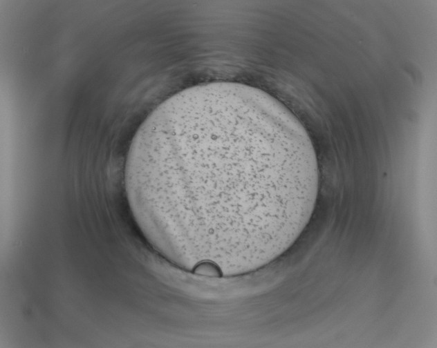 X0000114440034200911061713