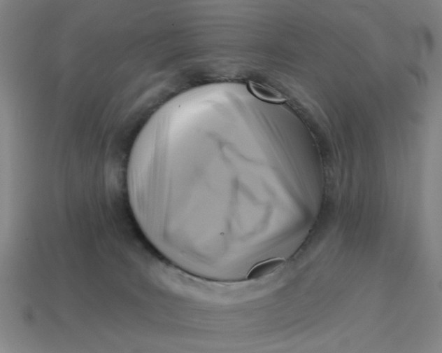 X0000114440035200911061713