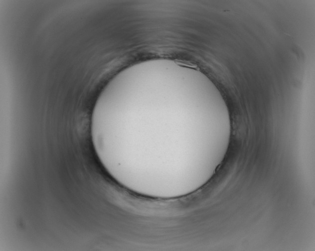 X0000114440036200911061713