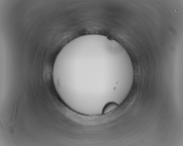 X0000114440038200911061713