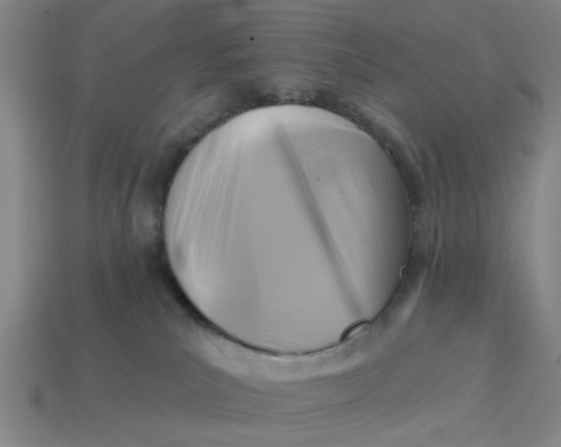 X0000114440039200911061713