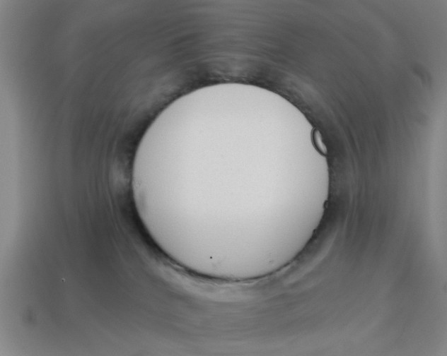 X0000114440040200911061713