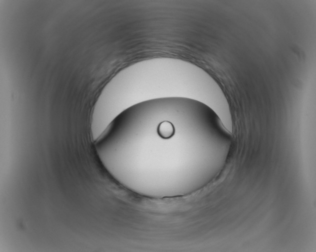 X0000114440041200911061713