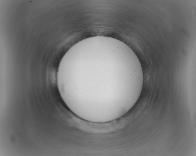 X0000114440042200911061713