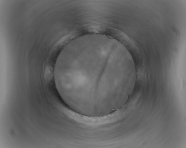 X0000114440043200911061713