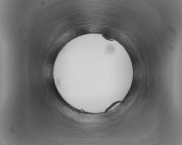 X0000114440044200911061713