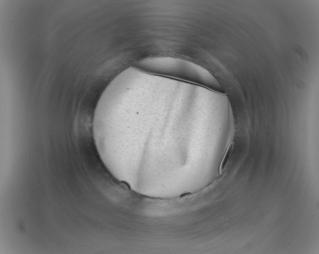 X0000114440045200911061713