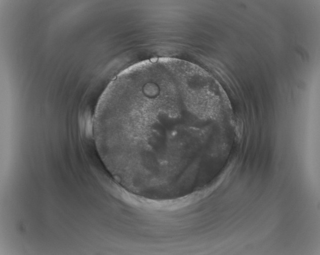 X0000114440046200911061713