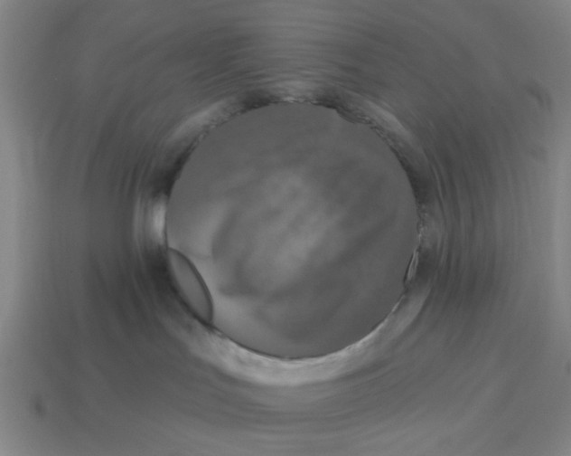 X0000114440047200911061713