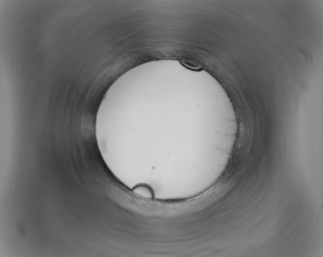 X0000114440048200911061713