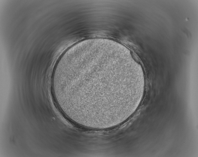 X0000114440049200911061712