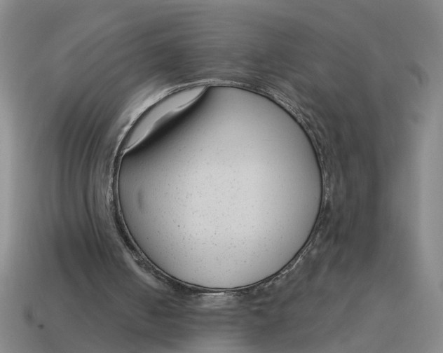 X0000114440050200911061712