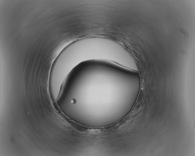 X0000114440052200911061712