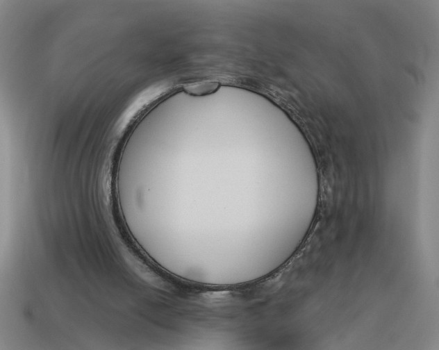 X0000114440054200911061712