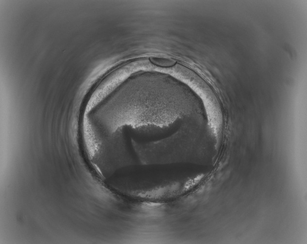 X0000114440055200911061712