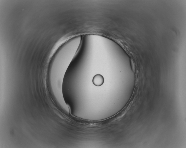 X0000114440056200911061712