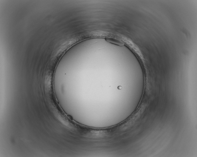 X0000114440057200911061712