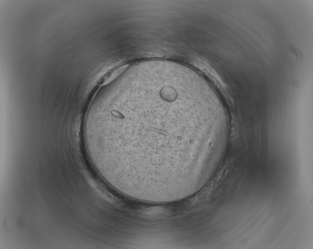 X0000114440058200911061712