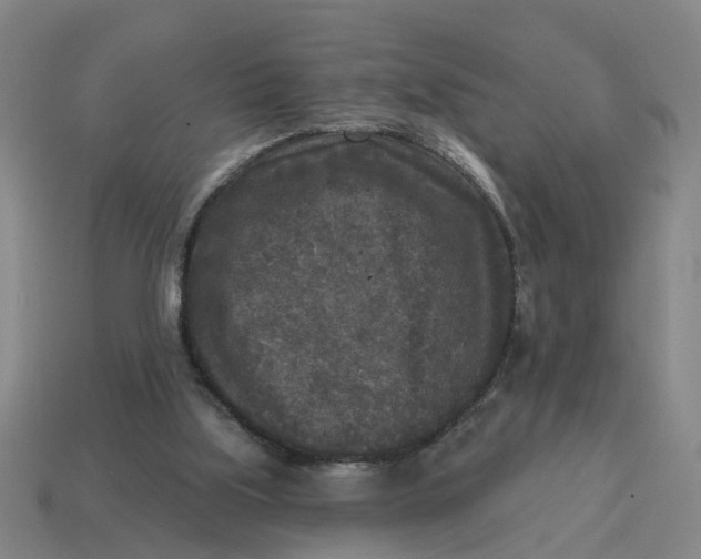 X0000114440059200911061712