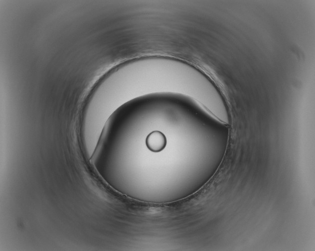 X0000114440060200911061712