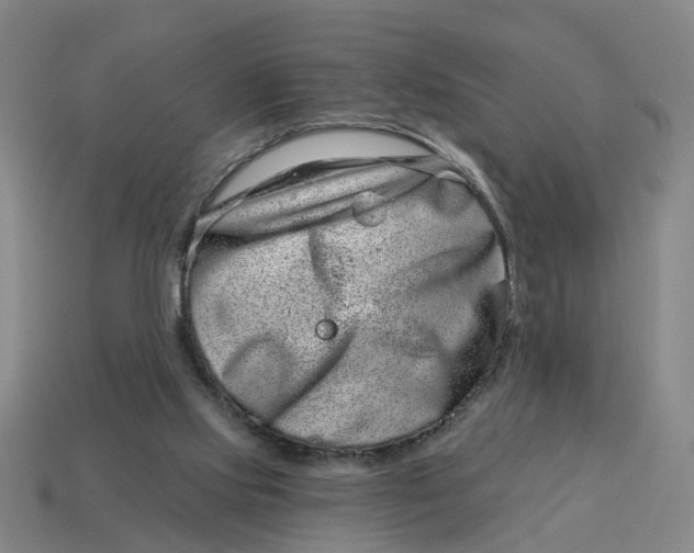 X0000114440061200911061712