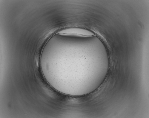 X0000114440062200911061712