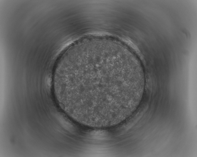 X0000114440063200911061712