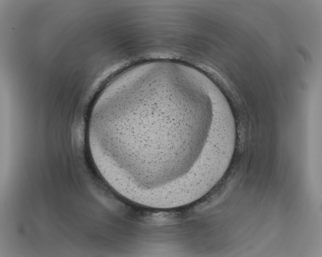 X0000114440064200911061712