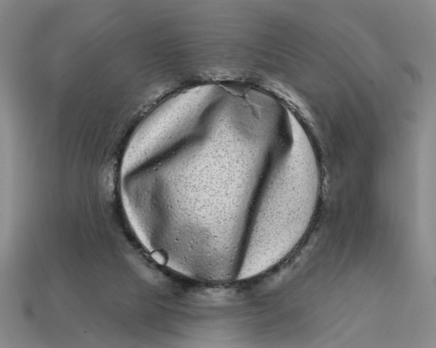 X0000114440065200911061712