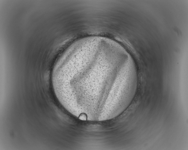 X0000114440066200911061712