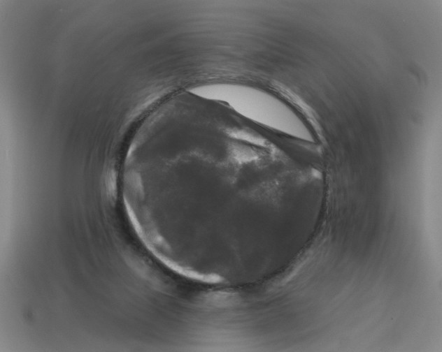 X0000114440067200911061712