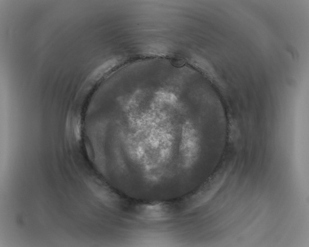 X0000114440068200911061712