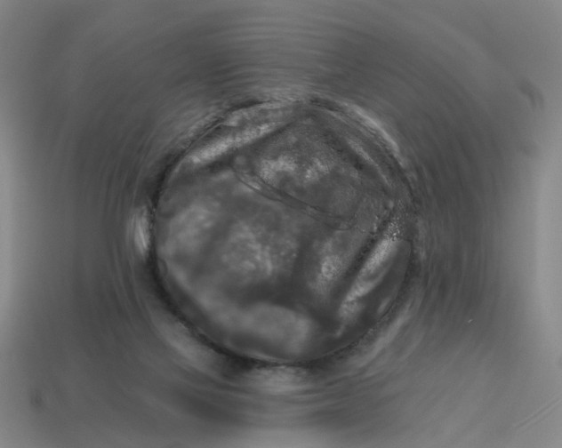 X0000114440069200911061712