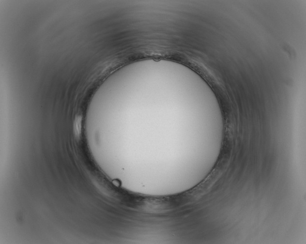 X0000114440070200911061712