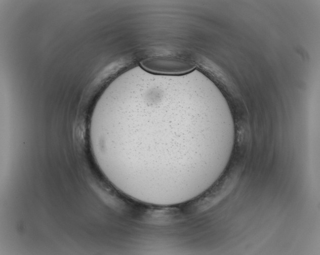 X0000114440072200911061712