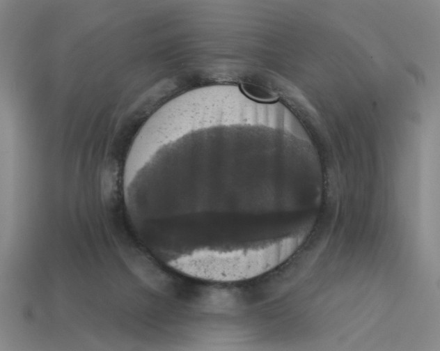 X0000114440073200911061712