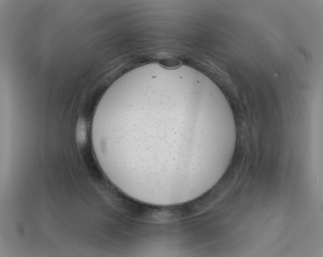 X0000114440075200911061712