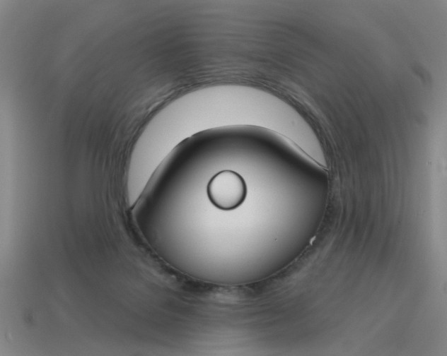 X0000114440076200911061712