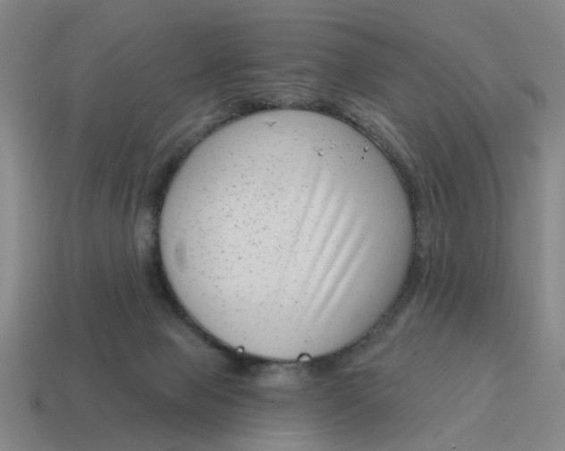 X0000114440077200911061712