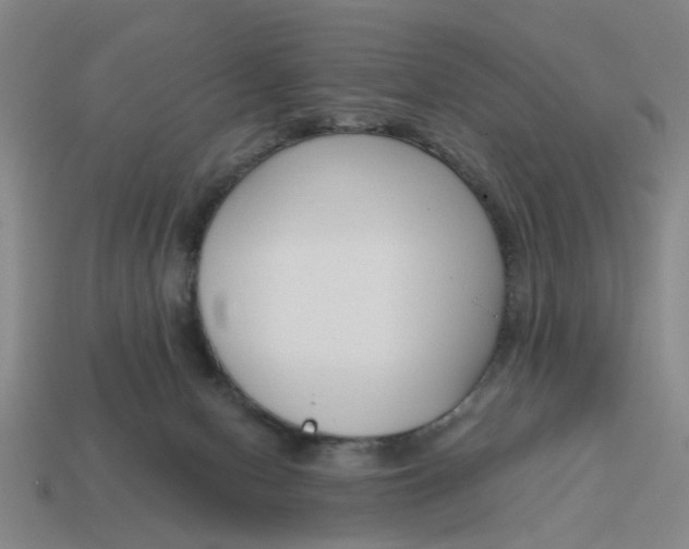 X0000114440078200911061712